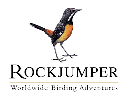 Rockjumper Rockjumper