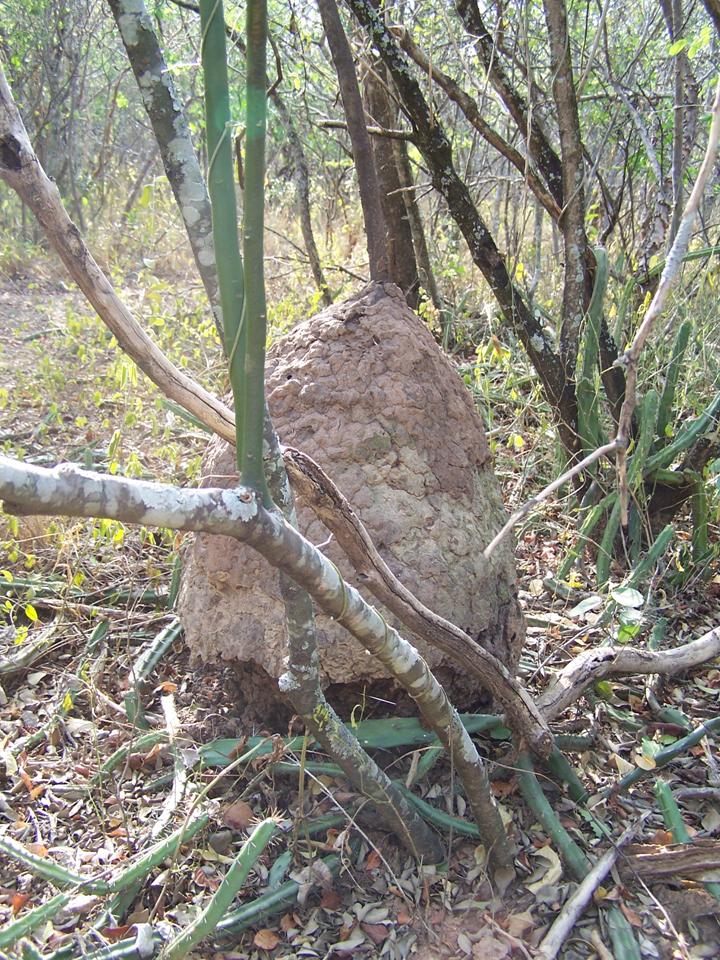 FIGURE 3 FIGURE 3